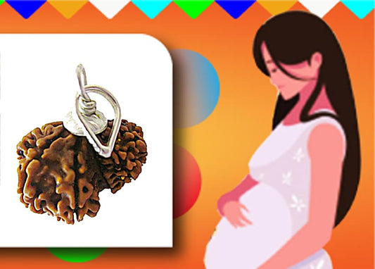 Garbha Gauri Rudraksha: A Sacred Bead of Blessings and Protection