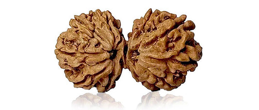 Gaurishankar Rudraksha for Relationships