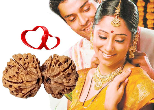 Gaurishankar Rudraksha Authenticity