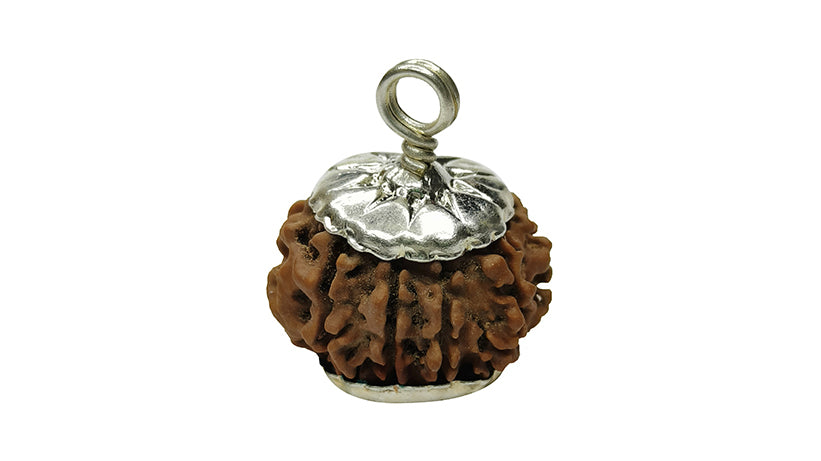 9 Mukhi Rudraksha