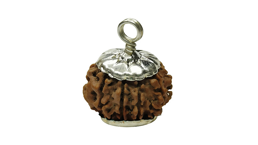 9 Mukhi Rudraksha