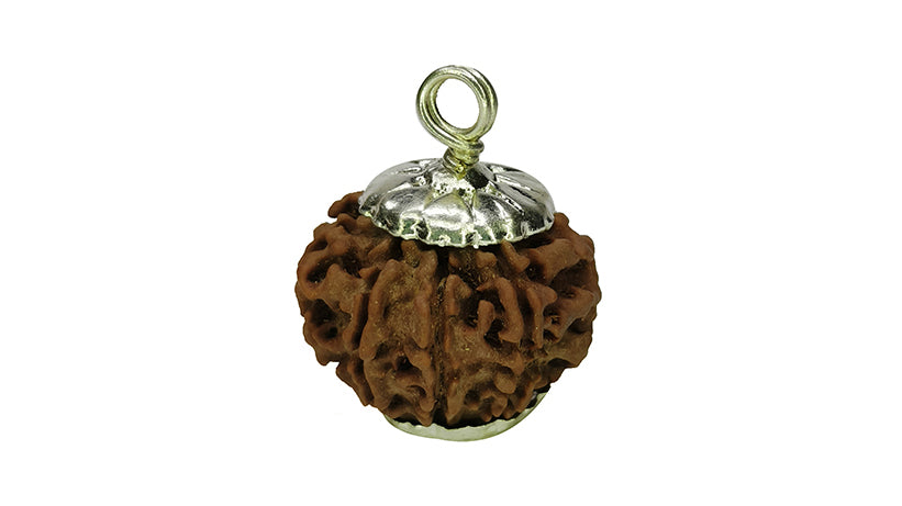 9 Mukhi Rudraksha