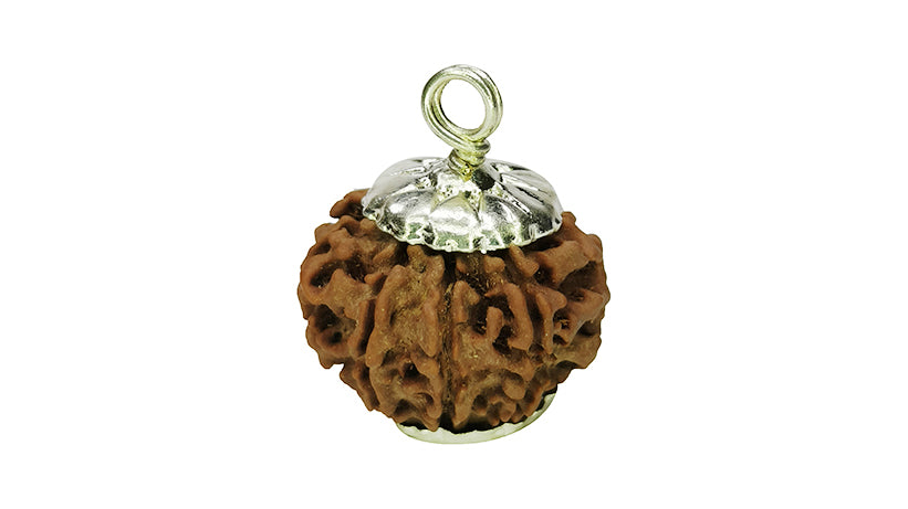 9 Mukhi Rudraksha