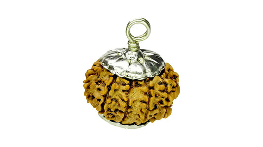 10 Mukhi Rudraksha