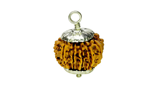 10 Mukhi Rudraksha