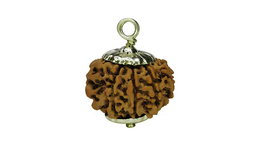 10 Mukhi Rudraksha