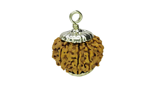 10 Mukhi Rudraksha