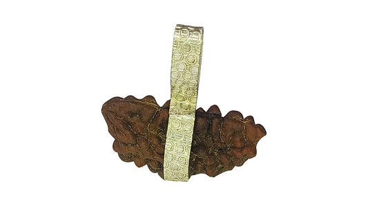 1 Mukhi Rudraksha