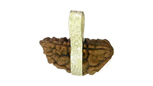 1 Mukhi Rudraksha