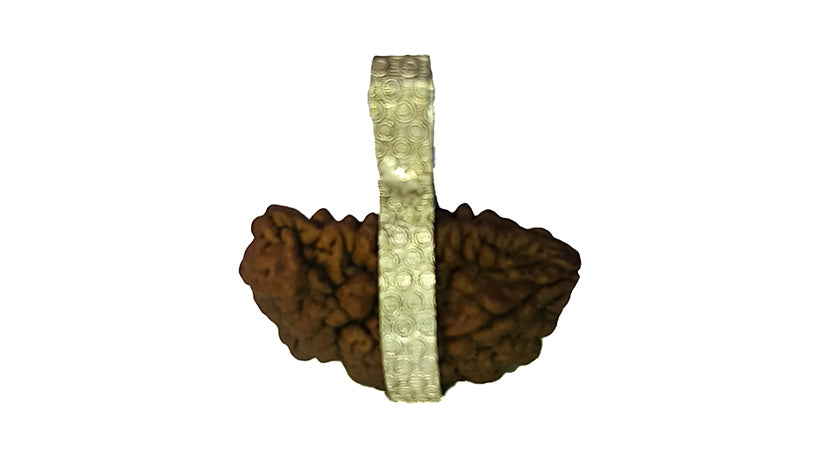 1 Mukhi Rudraksha