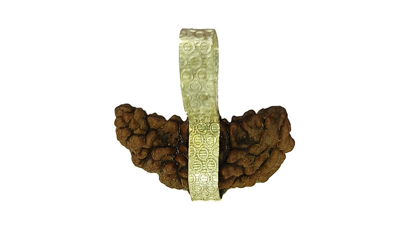 1 Mukhi Rudraksha