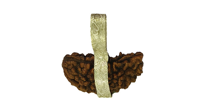 1 Mukhi Rudraksha