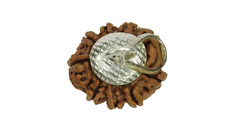 9 Mukhi Rudraksha