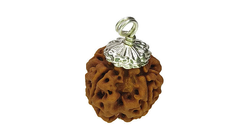 4 Mukhi Rudraksha