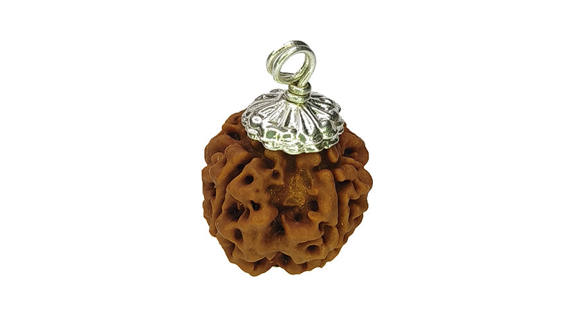 4 Mukhi Rudraksha