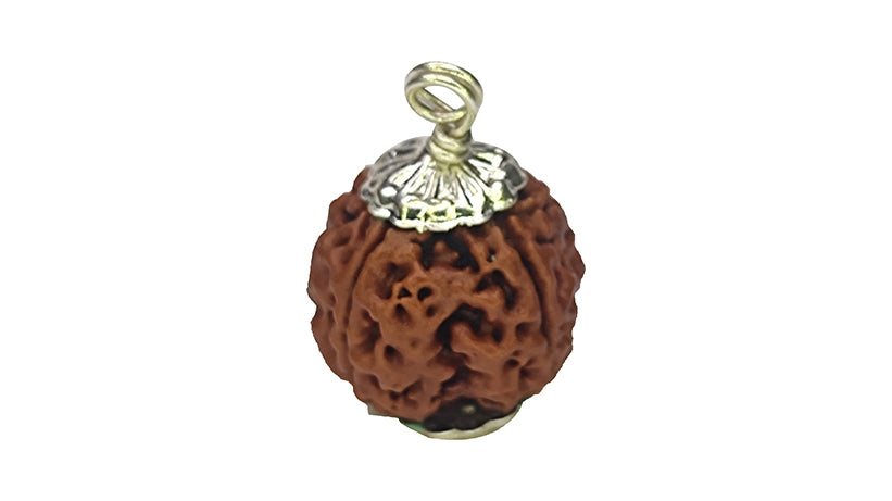 4 Mukhi Rudraksha