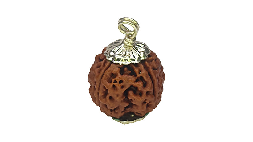 4 Mukhi Rudraksha