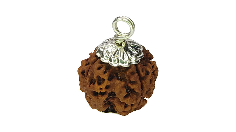 4 Mukhi Rudraksha