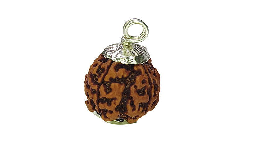 4 Mukhi Rudraksha