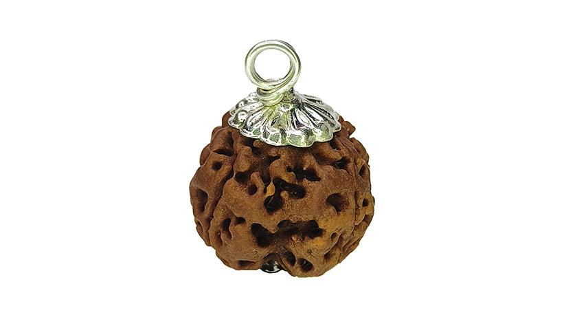 4 Mukhi Rudraksha