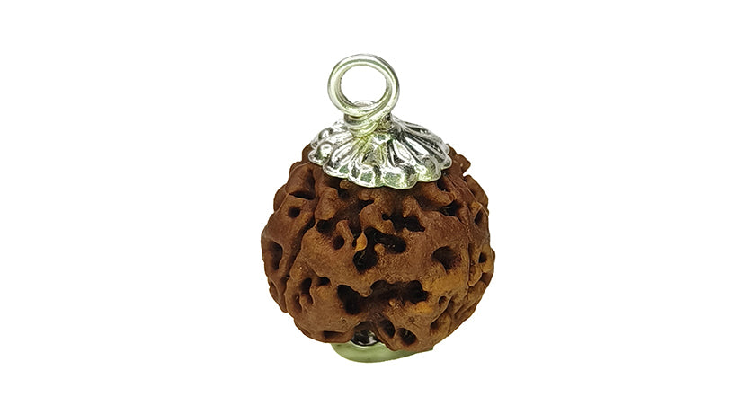 4 Mukhi Rudraksha