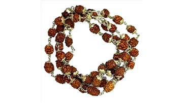 Rudraksha Mala : 3 Mukhi (Three Face)
