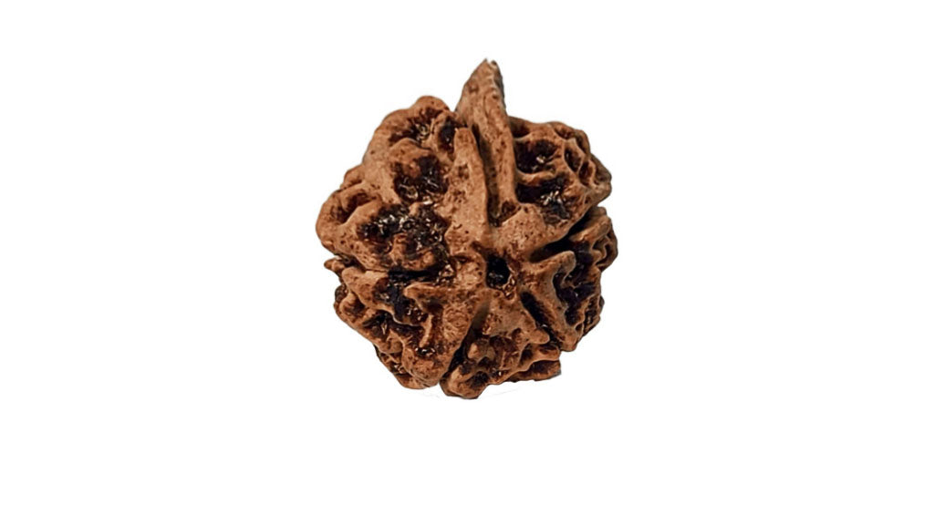 Ganesh Rudraksha