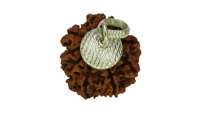 8 Mukhi Rudraksha