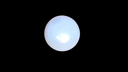 Pearl (Moti) 7.15 Carat