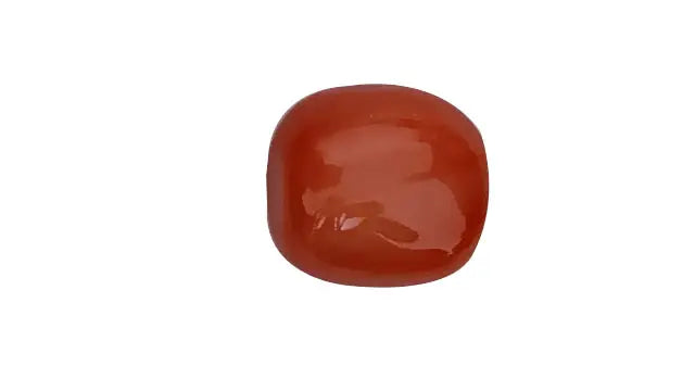 Red Coral Gemstone (Moonga) 11.30 ratti