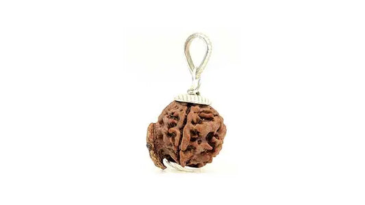 5 Mukhi Ganesh Rudraksha