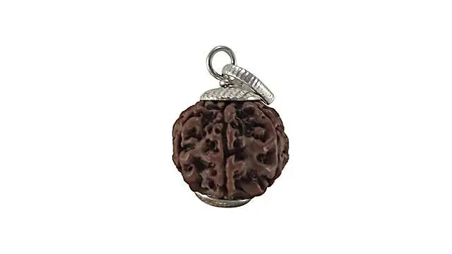 7 Mukhi Rudraksha