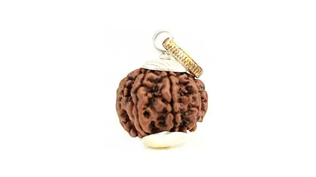 7 Mukhi Rudraksha