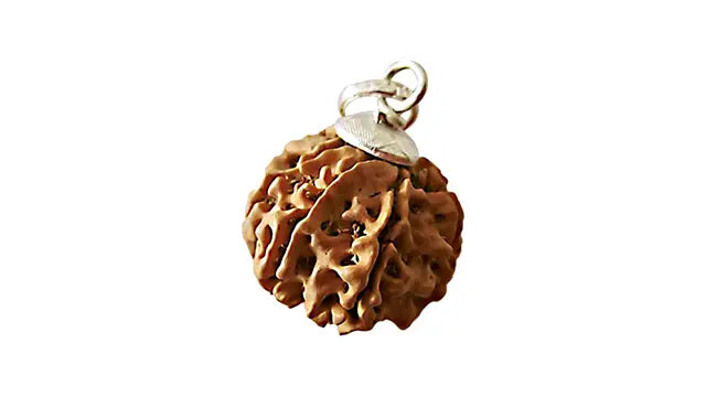 8 Mukhi Rudraksha