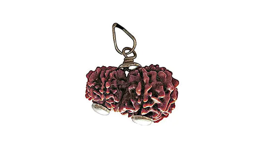 9 Mukhi Gauri Shankar Rudraksha