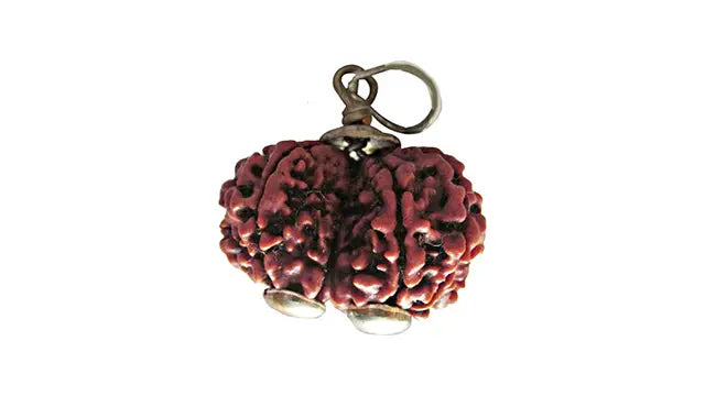 9 Mukhi Gauri Shankar Rudraksha