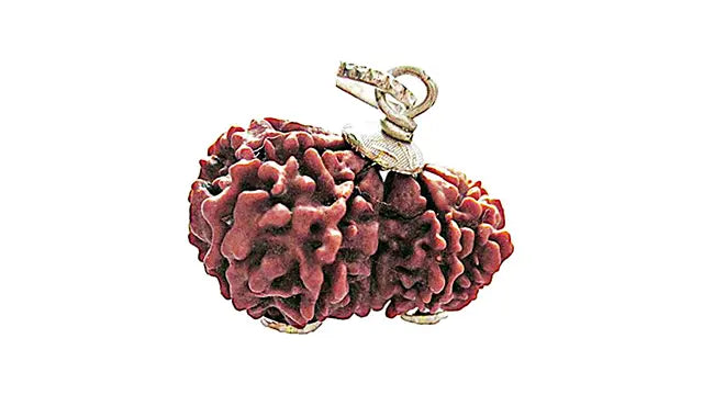 9 Mukhi Gauri Shankar Rudraksha