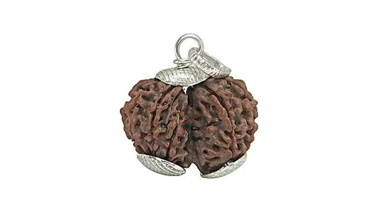 9 Mukhi Gauri Shankar Rudraksha