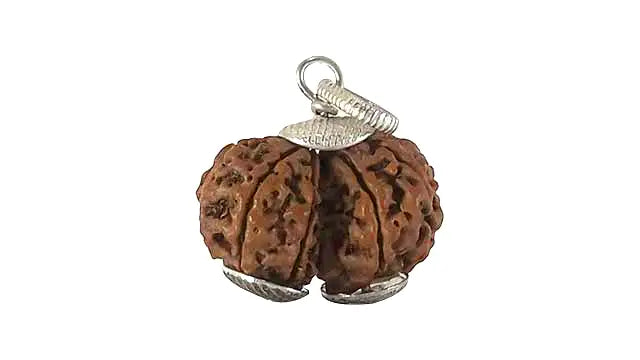 9 Mukhi Gauri Shankar Rudraksha
