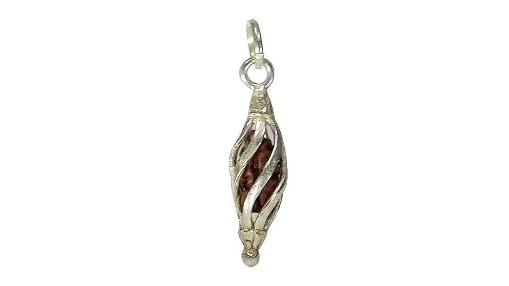1 Mukhi Rudraksha