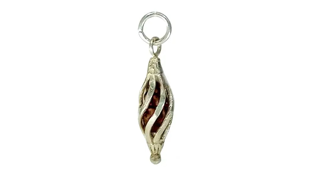 1 Mukhi Rudraksha