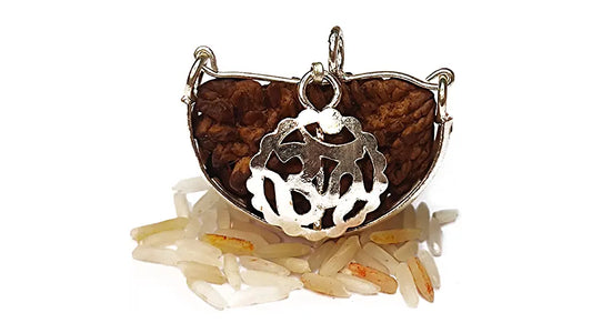 1 Mukhi Rudraksha