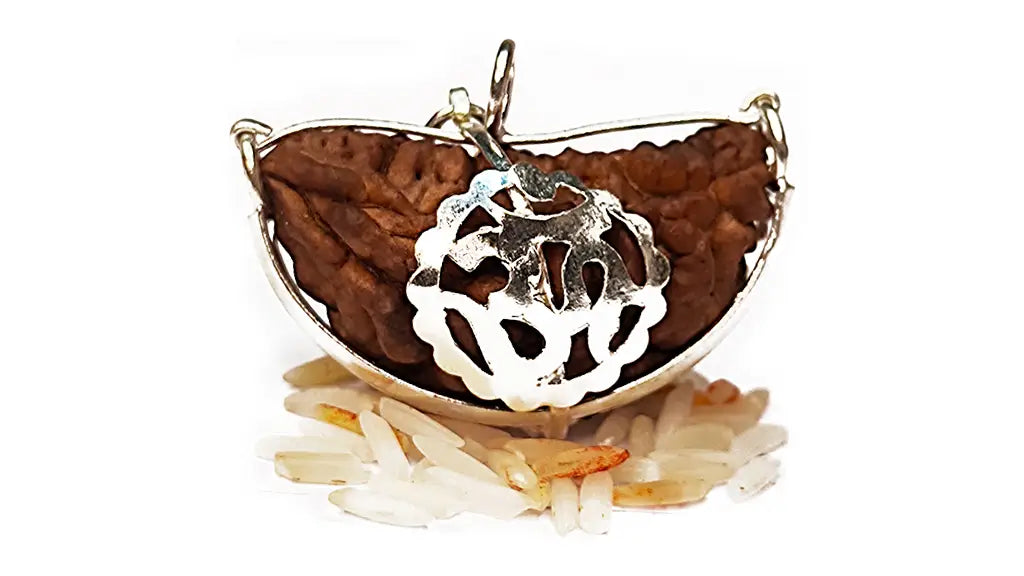 1 Mukhi Rudraksha
