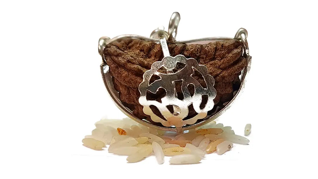 1 Mukhi Rudraksha