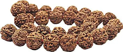 The Power of Rudraksha Beads: Unveiling the Sacred Beads