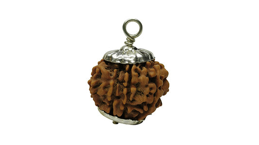 9 Mukhi Rudraksha