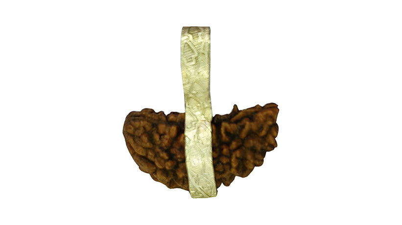 1 Mukhi Rudraksha