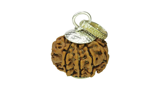 9 Mukhi Rudraksha