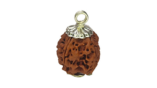 4 Mukhi Rudraksha