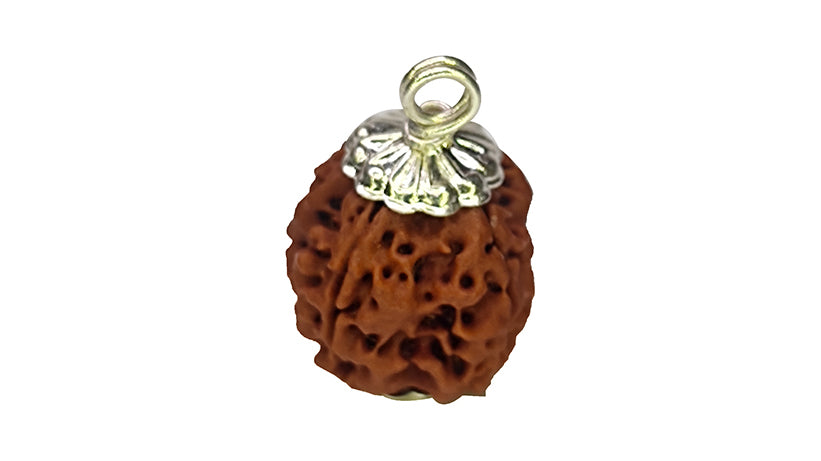 4 Mukhi Rudraksha